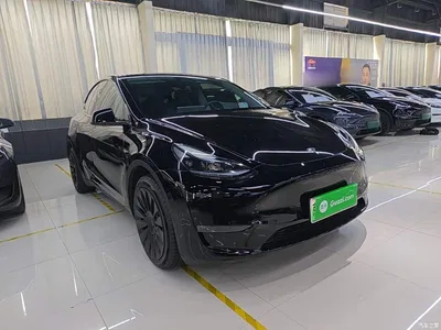 2024 Tesla Model Y Long Range AWD, фото 4, лот 10889944