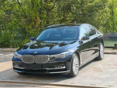2018 BMW 7 Series 730Li Leading Type Excellence Package, фото 1, лот 11192543
