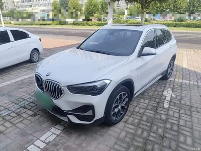 2020 BMW X1 sDrive20Li Premium Edition, фото 1, лот 10467999