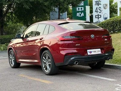 2020 BMW X4 xDrive25i M Off-road Package, фото 4, лот 10476896