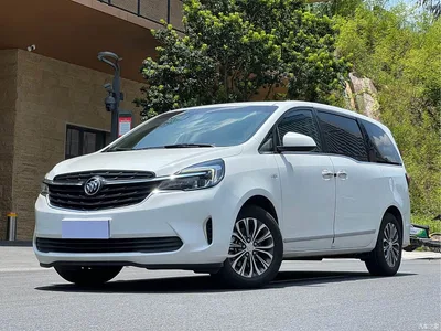 2021 Buick GL8 Land Business Class 652T Luxury, фото 1, лот 10434737