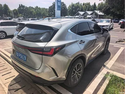 2022 Lexus NX 260 FWD Joy Creation Edition, фото 4, лот 10311032