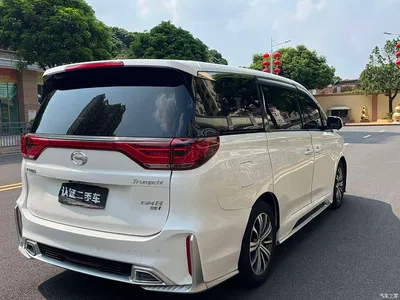 2018 GAC Trumpchi Trumpchi M8 320T Premium Edition, фото 4, лот 10415305