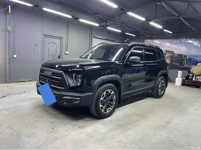 2024 Haval Big Dog 2.0T DCT Chinese Rural Dog Edition, фото 1, лот 10361792