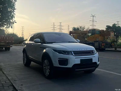 2016 Land Rover Range Rover Evoque 2.0T SE ZhiYao, фото 3, лот 10330372