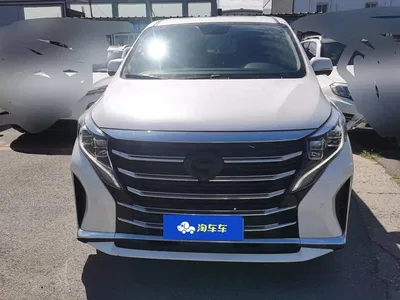 2021 GAC Trumpchi Trumpchi M8 Leading Show Series 390T Ultimate Edition, фото 2, лот 10416507