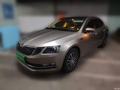 2018 Škoda Octavia 1.6L Automatic Luxury, фото 1, лот 10347887