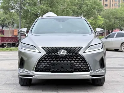 2020 Lexus RX 300 AWD Elegance Edition China V, фото 2, лот 10316232