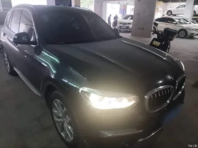2020 BMW X3 xDrive25i Luxury Package, фото 4, лот 10826327