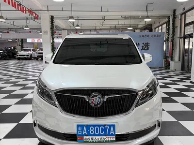 2017 Buick GL8 ES 28T Premium China V, фото 2, лот 11012641