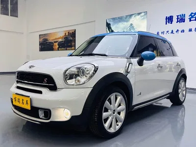 2015 MINI COUNTRYMAN 1.6T COOPER S ALL4 Tibet Limited Edition, фото 2, лот 10768502
