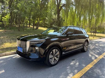 2021 Hongqi E-HS9 460km Flagship Comfort 6-seater, фото 1, лот 10288611