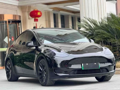 2021 Tesla Model Y Standard Range Rear-Wheel Drive, фото 3, лот 10890132