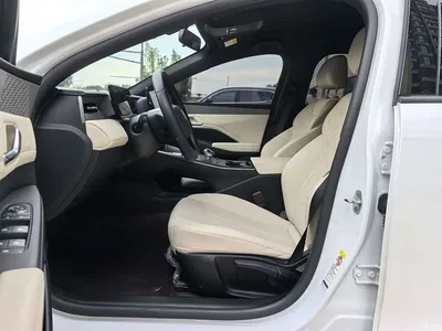 2025 BYD Qin PLUS DM-i Smart Drive 55KM Leader, фото 4, лот 10396593