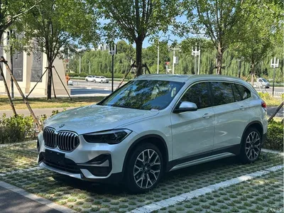 2022 BMW X1 xDrive25Li Premium, фото 3, лот 10465311