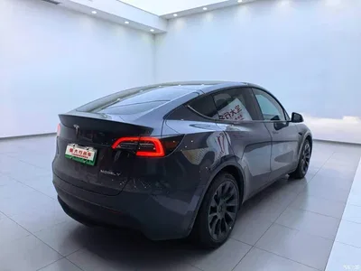 2022 Tesla Model Y Rear-Wheel Drive Version, фото 3, лот 10385262