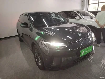 2023 Leapmotor C11 Pure Electric 500 Comfort Edition, фото 4, лот 10384305