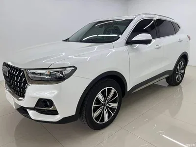 2023 Haval H6 National Trend Edition 1.5T Automatic Champion, фото 1, лот 11210552