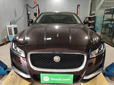 2020 Jaguar XFL 2.0T P200 2WD Elite Edition, фото 3, лот 11007524