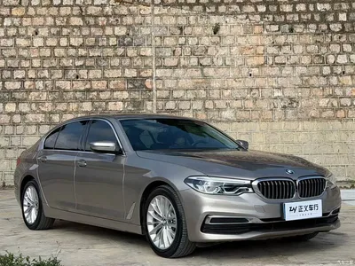 2020 BMW 5 Series 530Li Leading Luxury Package, фото 3, лот 11178168