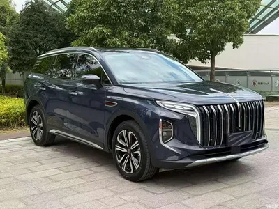 2023 Hongqi HS7 2.0T Automatic 4WD Flag Leader Edition (6-seater), фото 3, лот 10448601
