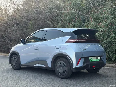 2024 BYD Seagull Glory Edition 305km Vitality Edition, фото 3, лот 10247750