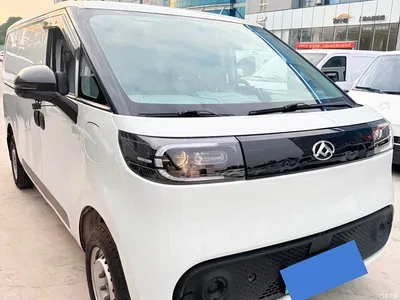2023 SAIC Maxus Dana V1 V1 Short Wheelbase Low Roof (42kWh), фото 1, лот 11146297