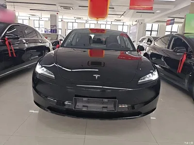 2025 Tesla Model 3 Model Rear-Wheel Drive Edition, фото 3, лот 10370822