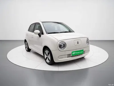 2021 Ora Black Cat 301km Pet Edition, фото 3, лот 10330465