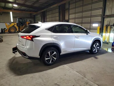 2021 LEXUS NX 300H LUXURY, фото 3, лот 10901014