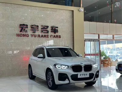 2021 BMW X3 xDrive25i M Sport Package, фото 3, лот 10461768