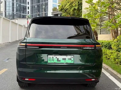 2024 Leapmotor C16 Extended Range 200 Premium Edition, фото 4, лот 11513656