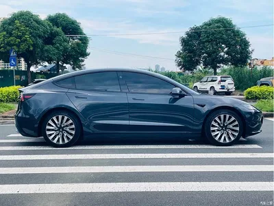 2023 Tesla Model 3 Rear-Wheel Drive, фото 4, лот 11081564