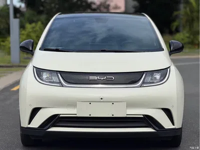 2024 BYD Dolphin Glory Edition 420km Fashion Edition, фото 2, лот 10250679