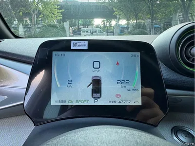 2021 BYD Dolphin Model 405km Fashion Edition, фото 4, лот 10255212