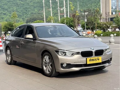 2016 BMW 3 Series 320Li Fashion Model, фото 2, лот 10808464