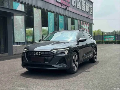 2019 Audi e-tron (Import) 55 quattro Technology, фото 1, лот 10474579