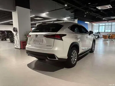2018 Lexus NX Model 200 FWD Fengxing Edition China V, фото 4, лот 10312493