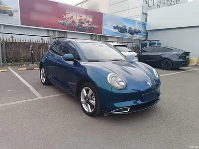 2023 Ora Good Cat 401km Standard Range Luxury LFP, фото 4, лот 10330688