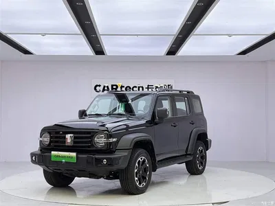 2025 Tank 300 New Energy Hi4-T, фото 1, лот 10344057