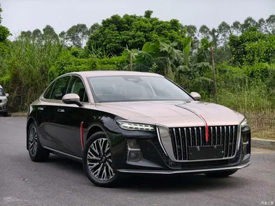 2024 Hongqi H5 2.0T Automatic Smart Connect Flag Smooth Edition, фото 3, лот 10287865