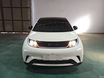 2021 BYD Dolphin Model 405km Fashion Edition, фото 3, лот 11545358
