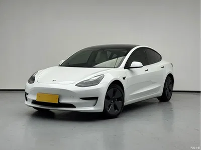 2022 Tesla Model 3 Model Rear-Wheel Drive Version, фото 1, лот 10355669
