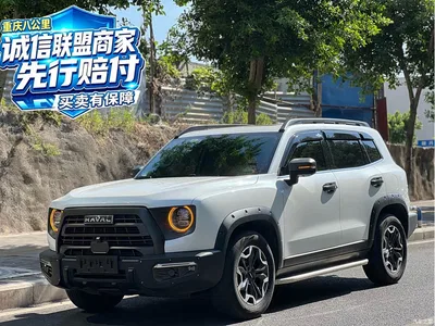 2024 Haval Big Dog 2.0T DCT Chinese Rural Dog Edition, фото 1, лот 10385342