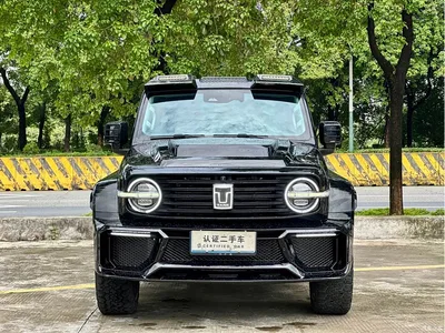 2023 Tank 300 Off-Road Edition 2.0T Conqueror, фото 2, лот 10363228