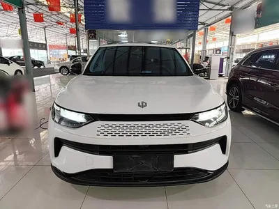 2023 Leapmotor C11 Range Extender 180 Comfort Edition, фото 3, лот 11136469