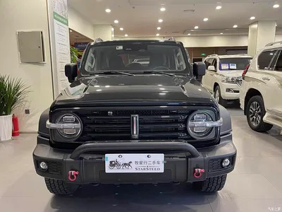 2021 Tank 300 Off-road Version 2.0T Conqueror, фото 2, лот 10344851