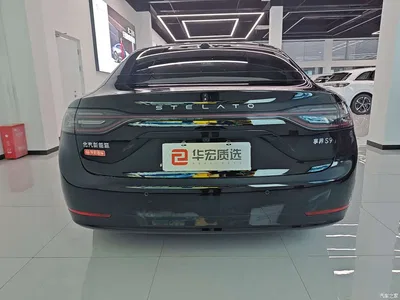2025 Xiangjie Enjoy World S9 Extended Range Ultra, фото 4, лот 10831064