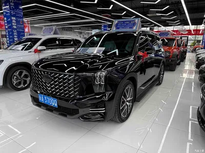 2022 GAC Trumpchi Trumpchi GS8 Pilot Series 2.0TGDI 4WD Luxury Smart Connect Edition (7-Seater), фото 1, лот 10414828