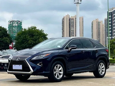2016 Lexus RX 300 2WD Elite Edition (China V), фото 1, лот 10317057